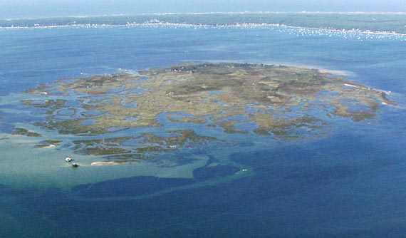 Ile aux oiseaux dans le bassin d'Arcachon